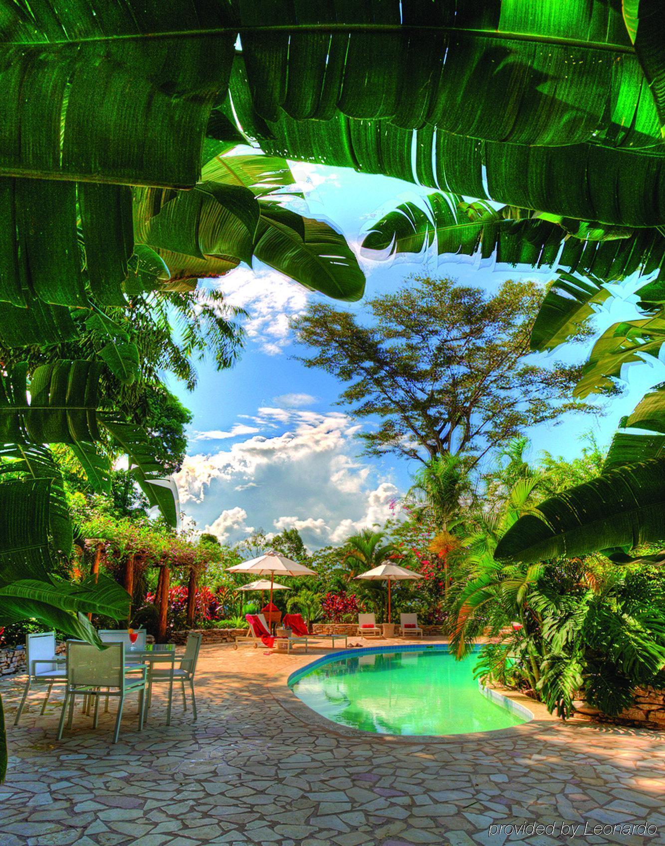 Machaca Hill Rainforest Canopy Lodge Punta Gorda Esterno foto