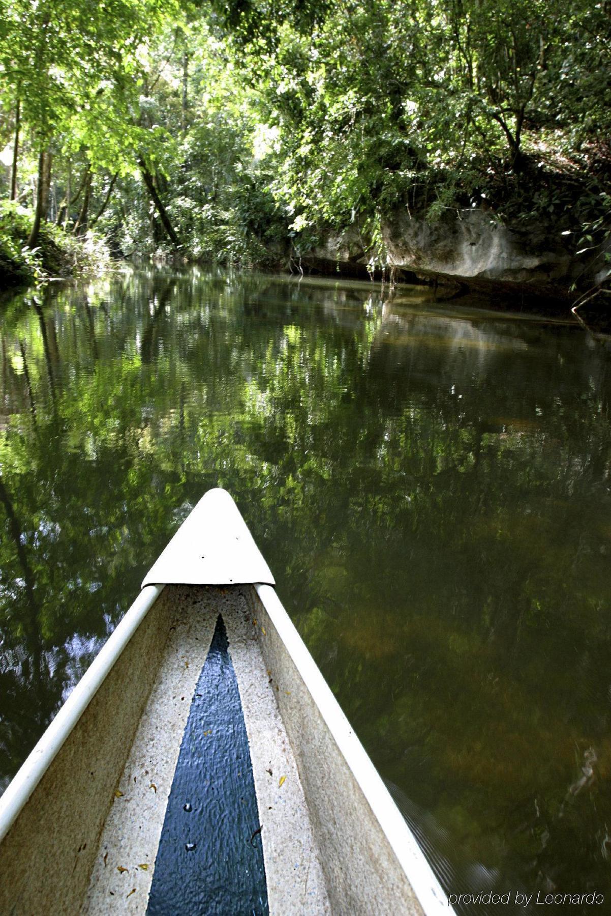Machaca Hill Rainforest Canopy Lodge Punta Gorda Esterno foto