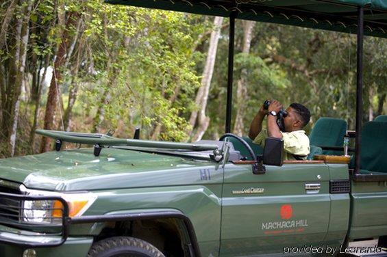 Machaca Hill Rainforest Canopy Lodge Punta Gorda Esterno foto
