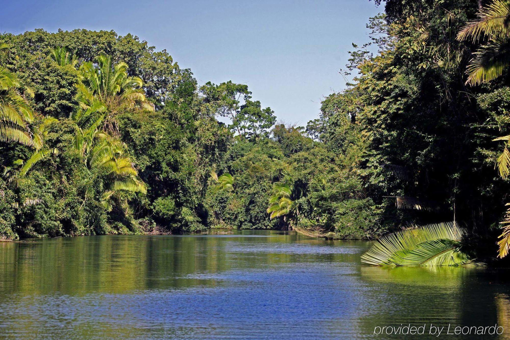 Machaca Hill Rainforest Canopy Lodge Punta Gorda Esterno foto