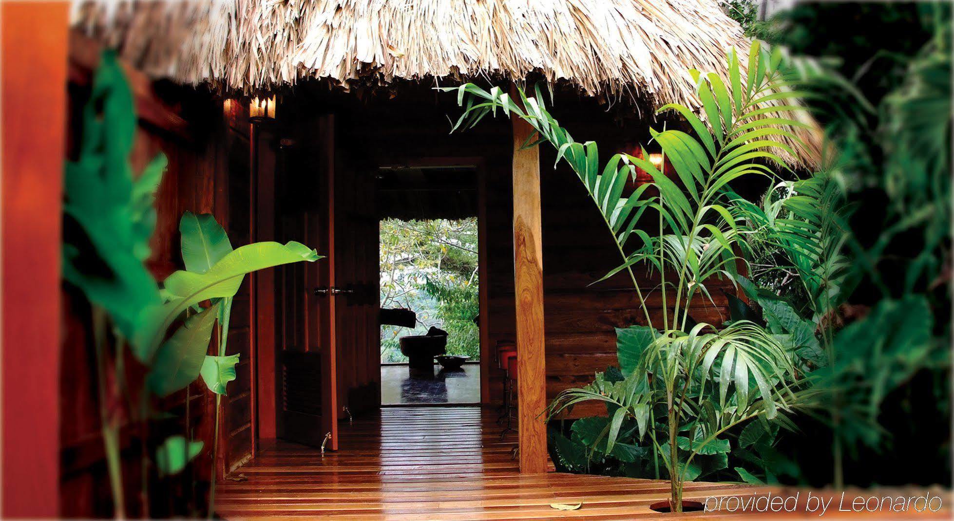 Machaca Hill Rainforest Canopy Lodge Punta Gorda Esterno foto